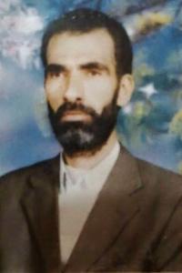 العلامة كاظم عبود الفتلاوي 
