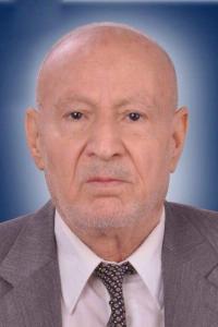 معين جدي 