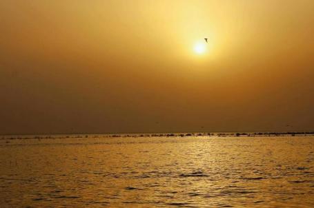 بحر النجف