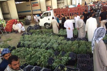 النجف الاشرف علوة الخضار